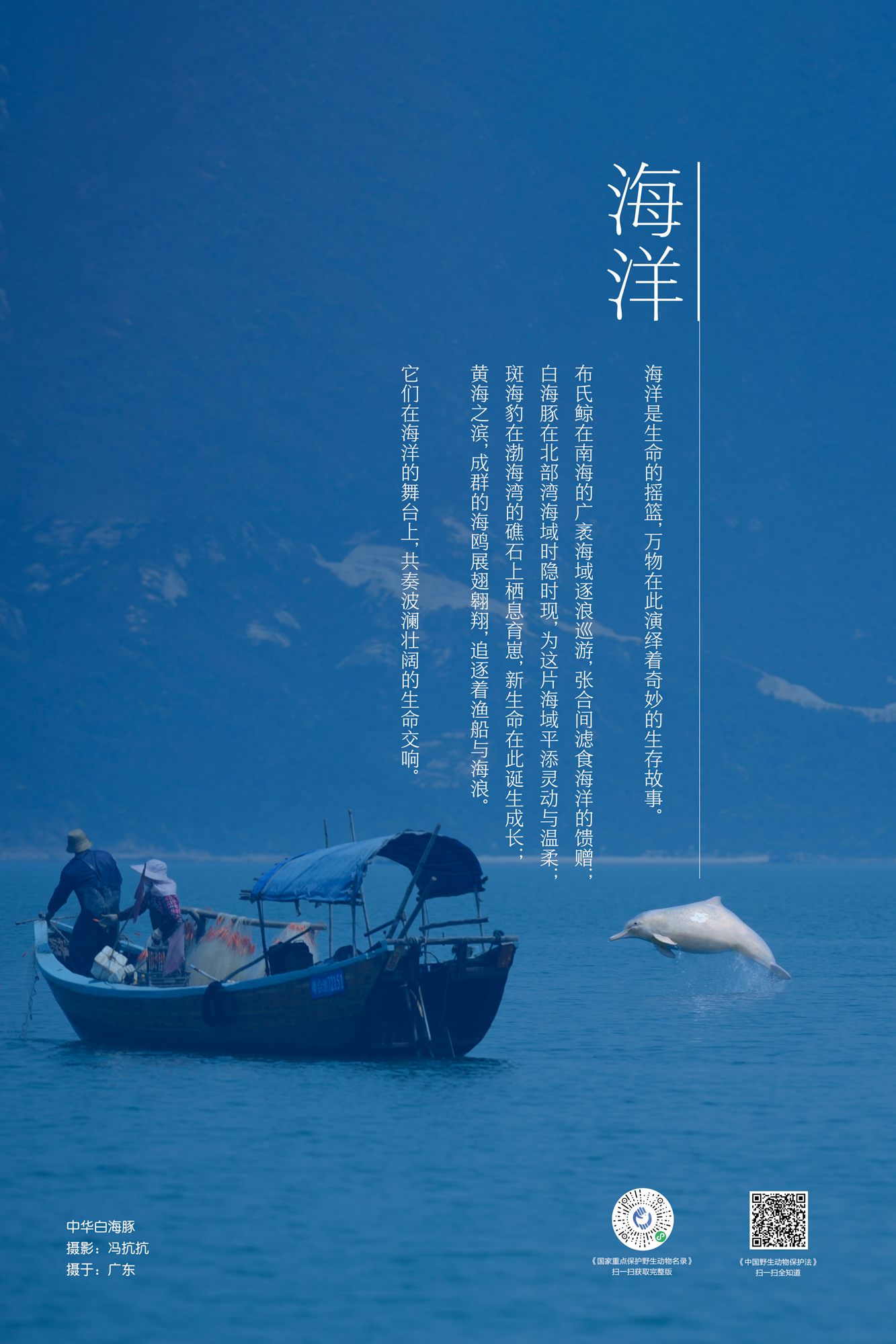 小前言-海洋 拷贝.jpg